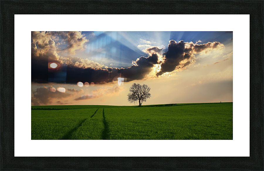 Tree Grass Fields nature landscape Picture Frame print