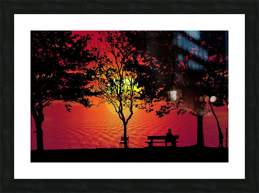 Sunset Forest Trees Picture Frame print