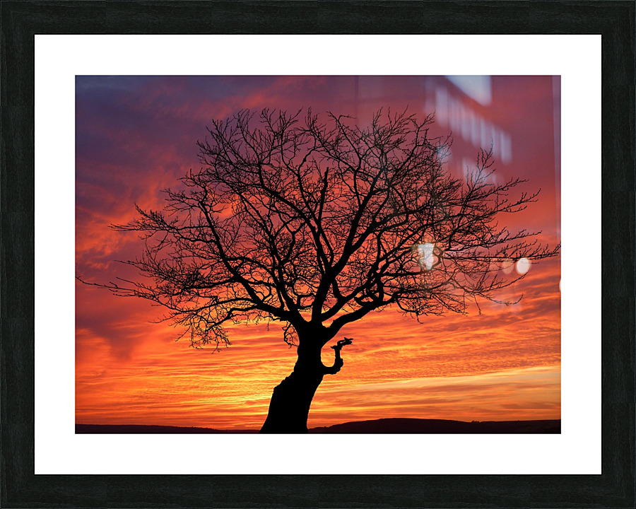 Sunset Tree Nature night Picture Frame print