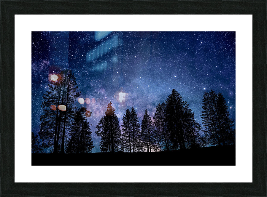night sky nature forest trees Picture Frame print