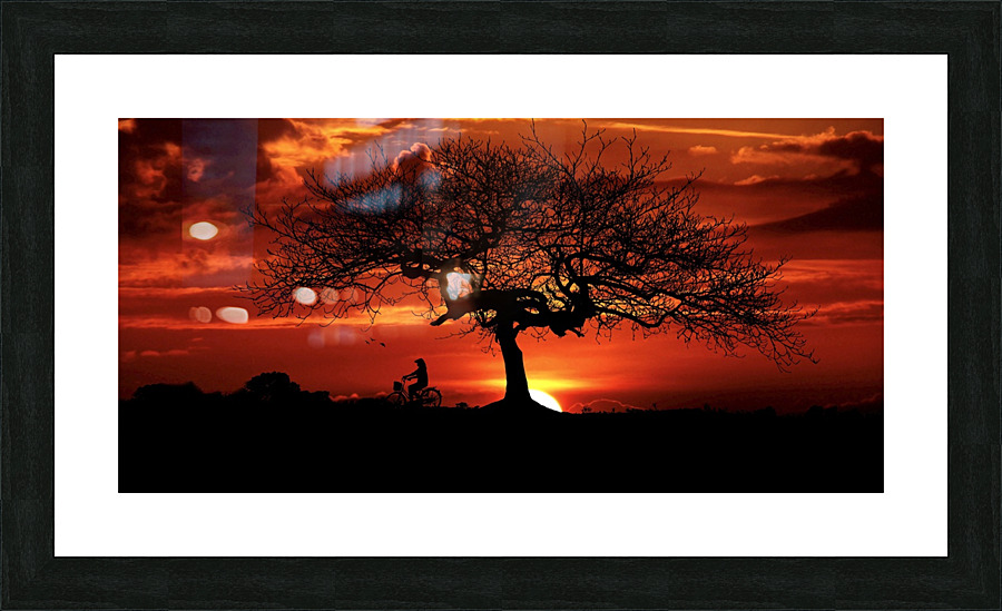 Sunset Tree Landscape night Picture Frame print