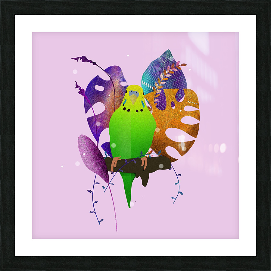 Parakeet Bird Beak Picture Frame print