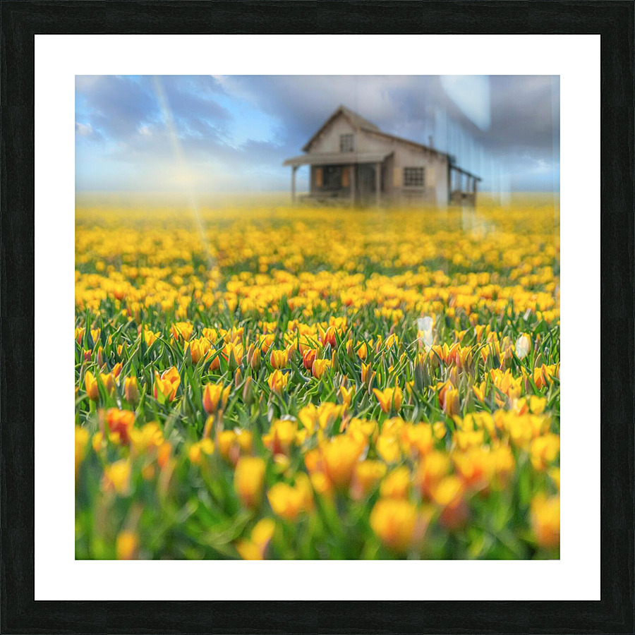 Flowers Flower Picture Frame print