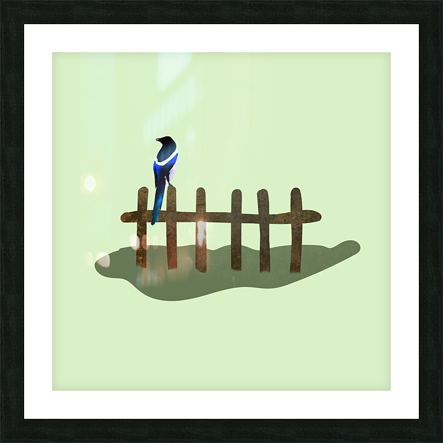 Bird Magpie Wings Picture Frame print