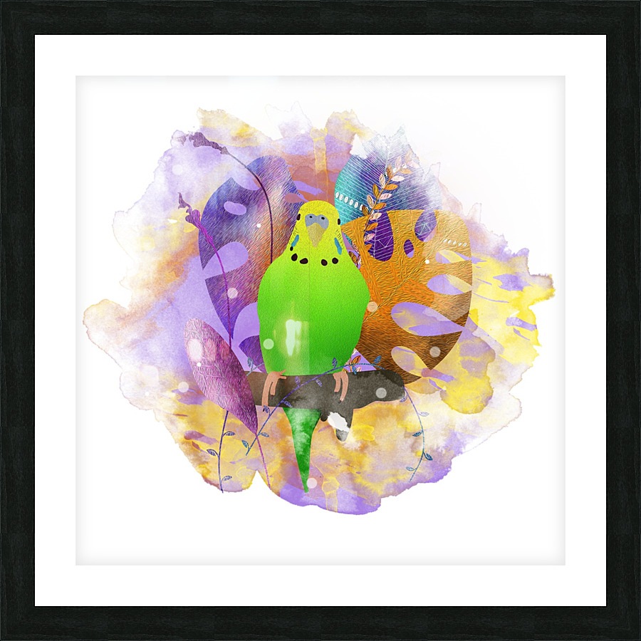 Parakeet Bird Beak Picture Frame print