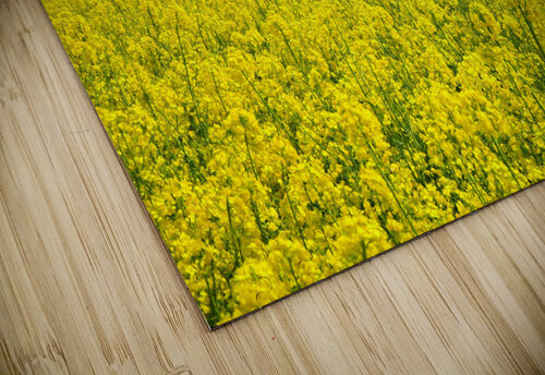 e Ned Bezou puzzle