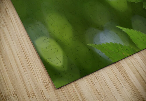 Leaves Tree Plant Ned Bezou puzzle