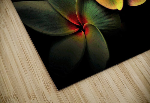 Blossoms Colored Abstract Ned Bezou puzzle