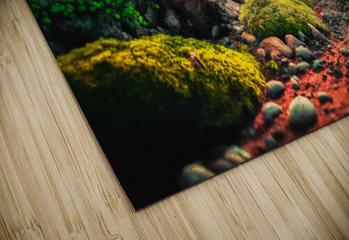 nature landscape 1 Ned Bezou puzzle