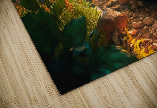 forest nature landscape Ned Bezou puzzle