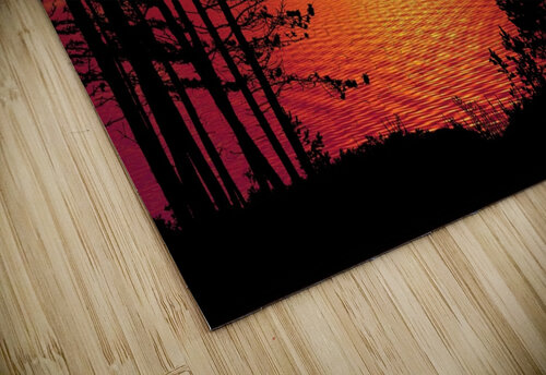 Sunset Trees Forest night Ned Bezou puzzle