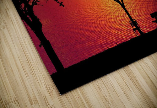 Sunset Forest Trees Ned Bezou puzzle