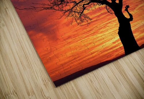 Sunset Tree Nature night Ned Bezou puzzle