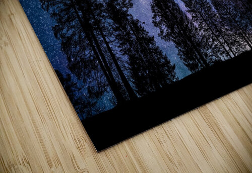 night sky nature forest trees Ned Bezou puzzle