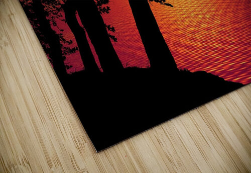 Sunset Trees Boat night Ned Bezou puzzle