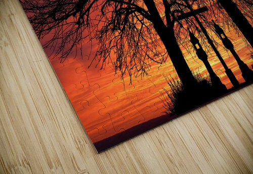 Sunset Tree Nature night  Ned Bezou puzzle