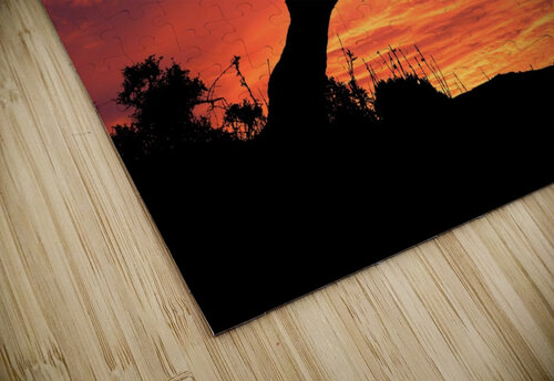 Sunset Tree Nature night  Ned Bezou puzzle