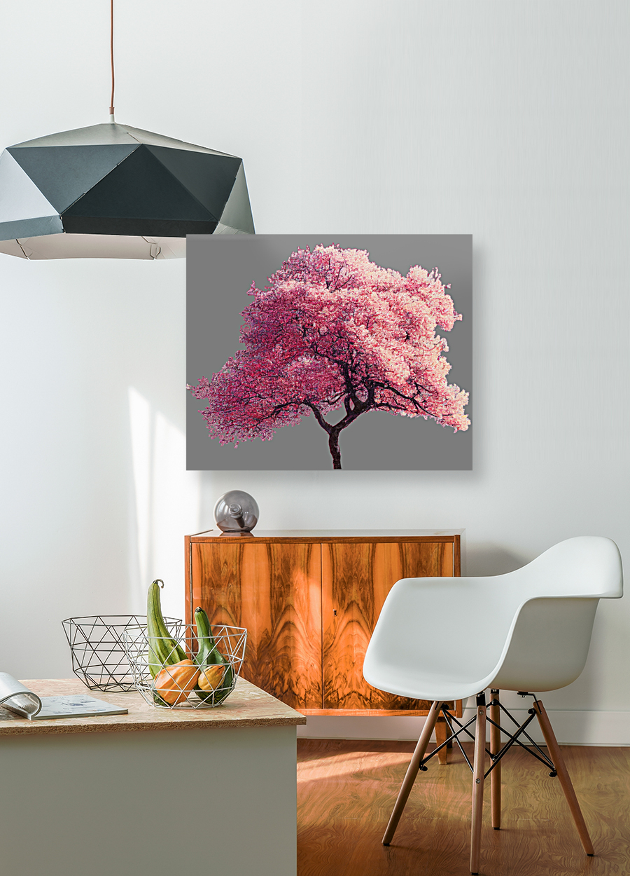 Cherry Tree Nature Reproduction