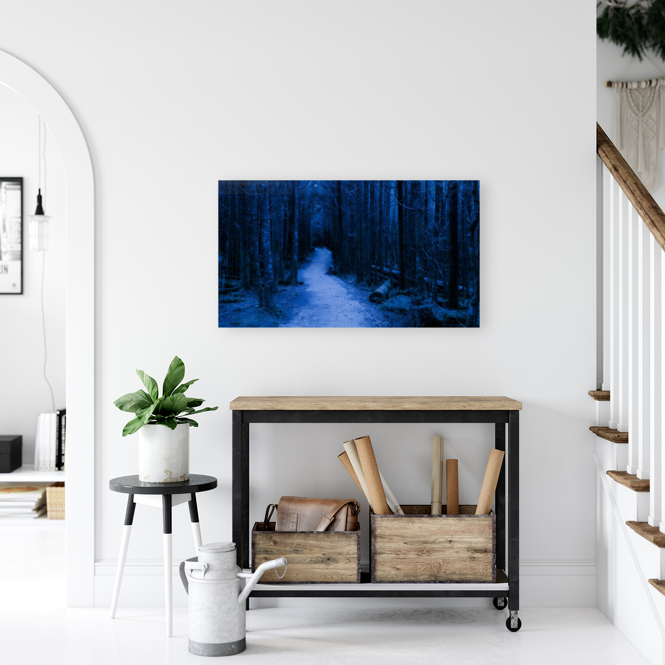 Forest Night Trees Reproduction