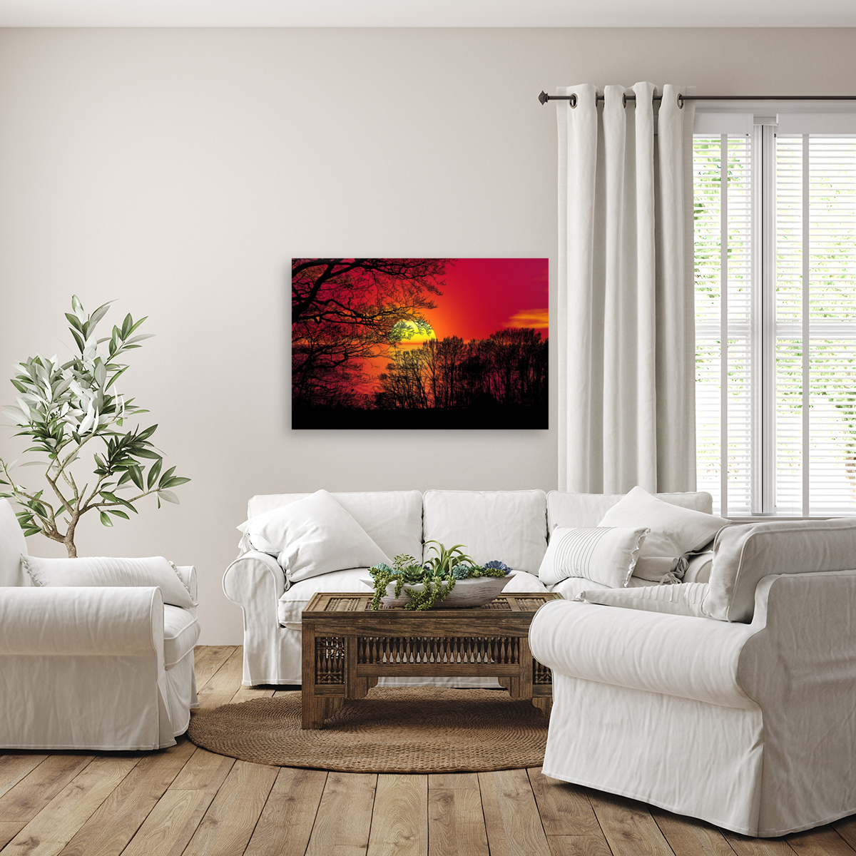 Sunset Forest Trees  night Reproduction