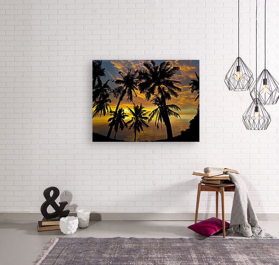 Sunset Palm Trees Tropical Reproduction