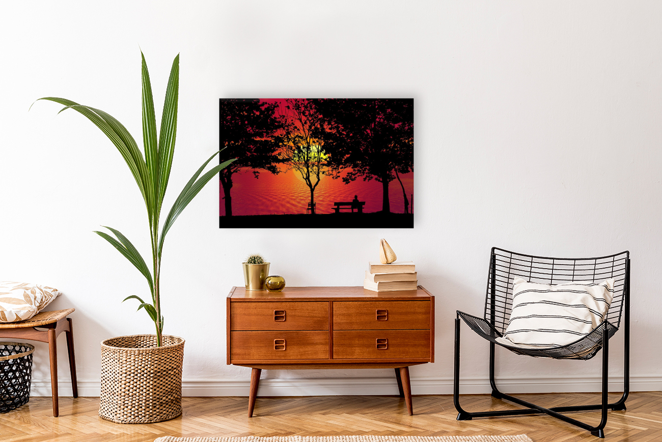 Sunset Forest Trees Reproduction