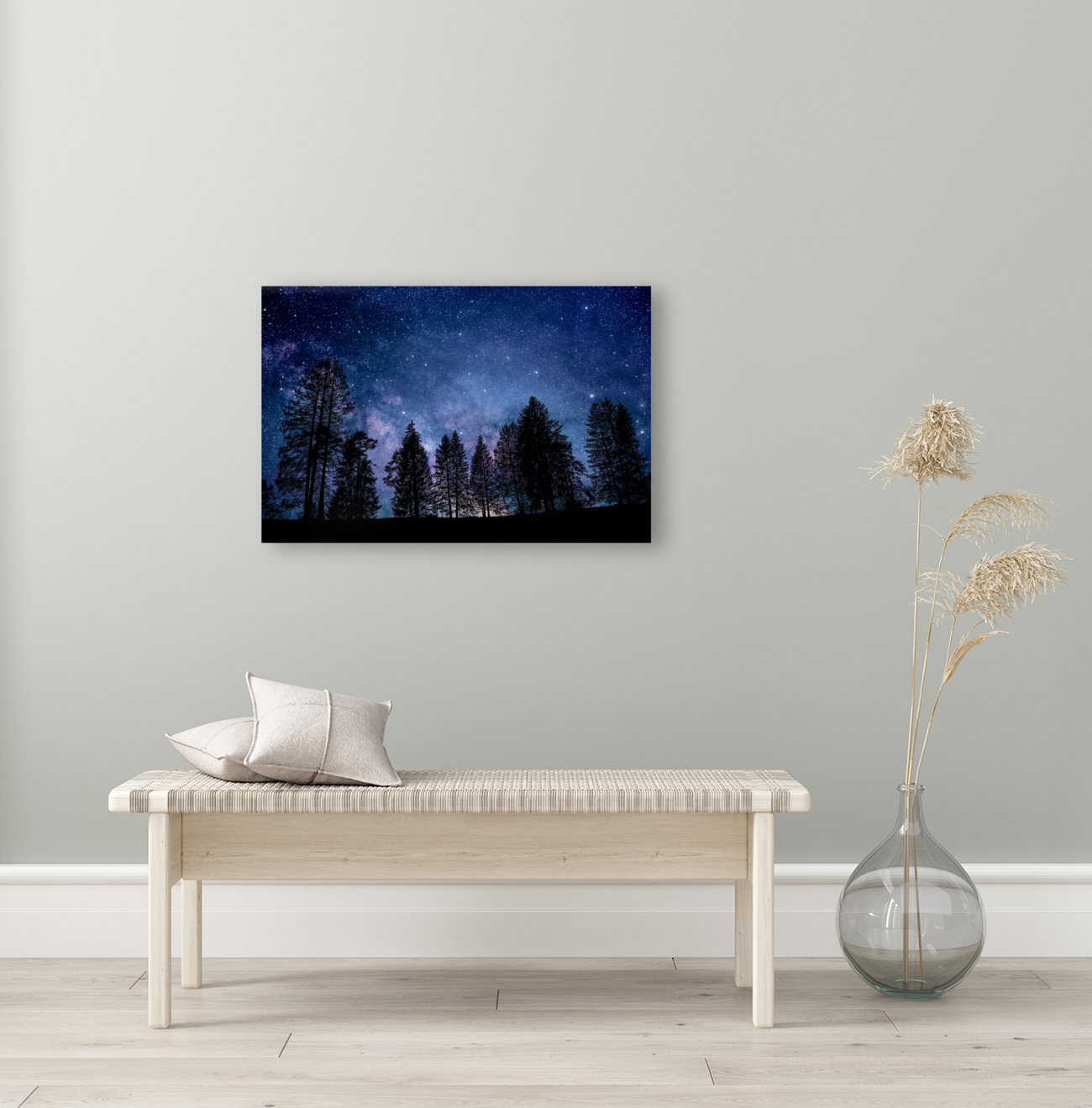 night sky nature forest trees Reproduction