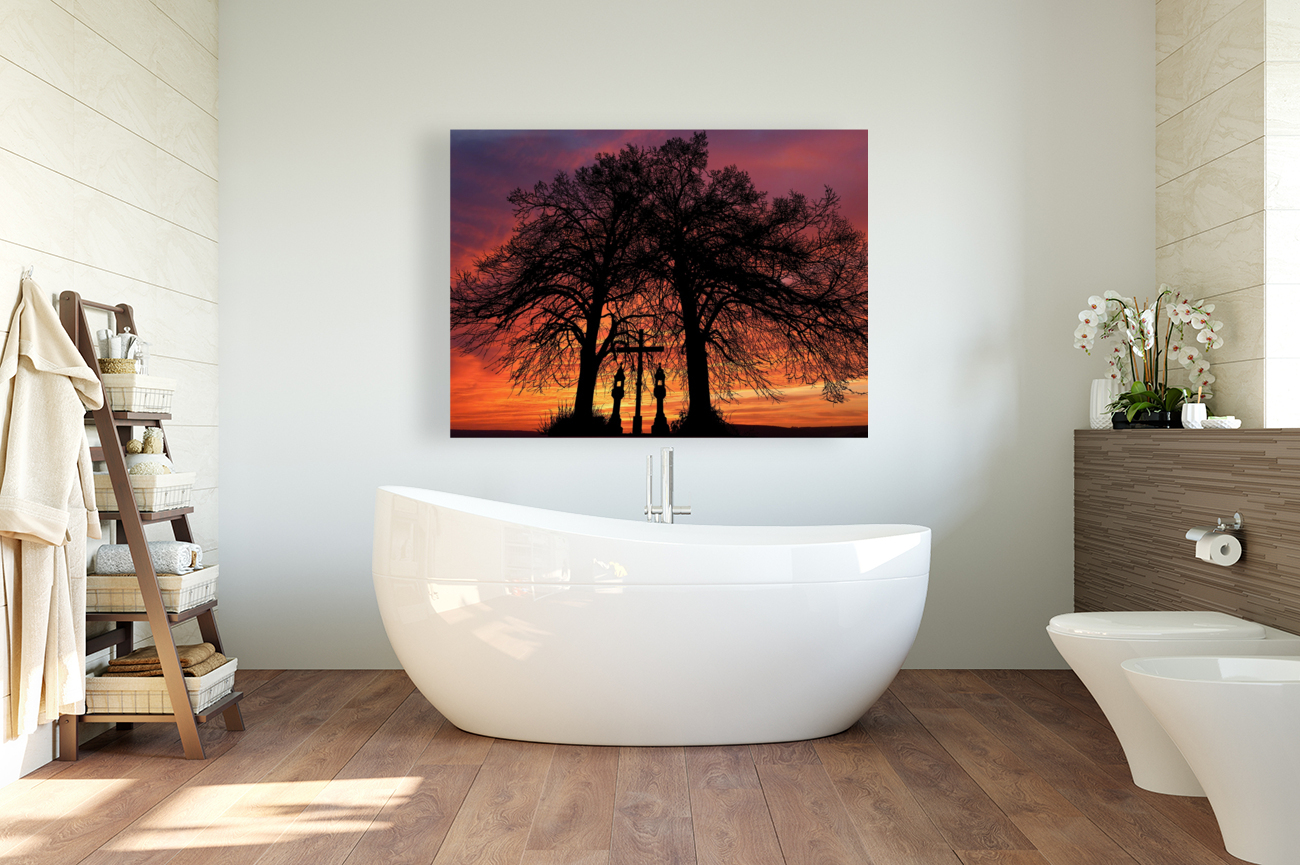 Sunset Tree Nature night  Reproduction