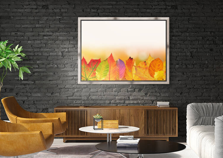 autumn  leaves  colorful  fall foliage  fall color  golden autumn  maple leaf  alder leaf  apple tree leaf  beech leaf  graphically  course  autumn colours  bokeh  fund  background  by Ned Bezou