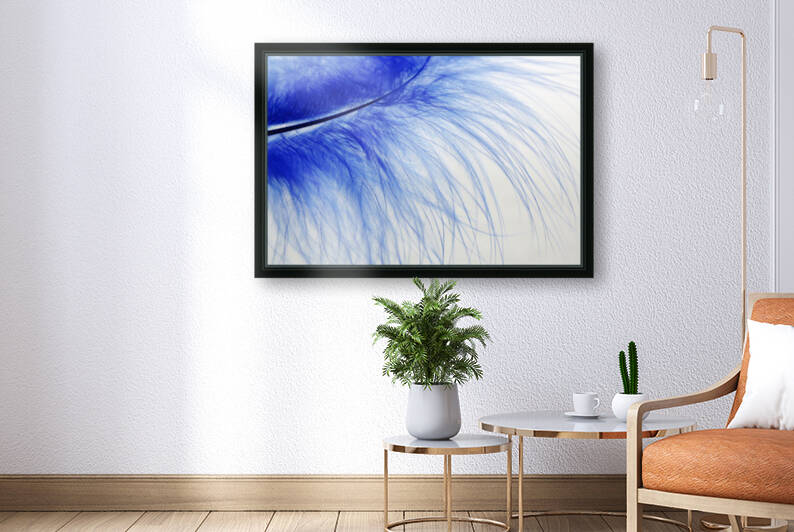 feather  blue  colored  slightly  Reproduction