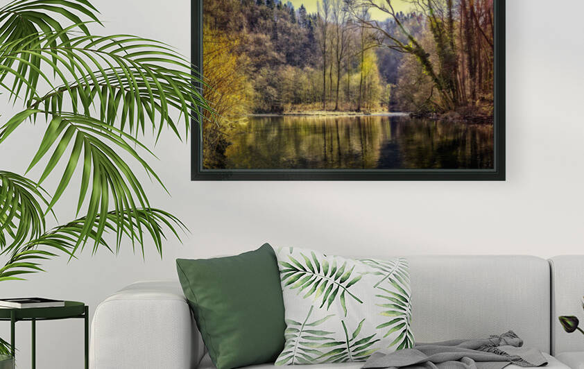 forest  lake  nature  trees  water  pond  river landscape  mirroring  river  romantic  mood  reflection  rest  relaxation  sunlight  wupper  germany  by Ned Bezou