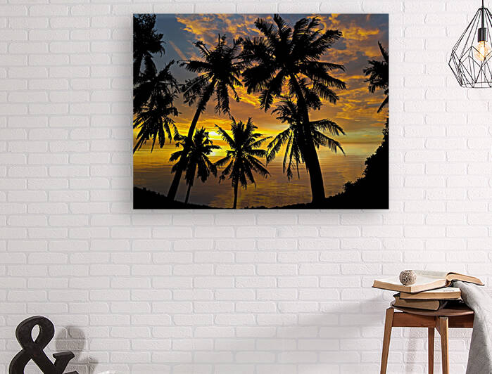 Sunset Palm Trees Tropical Reproduction