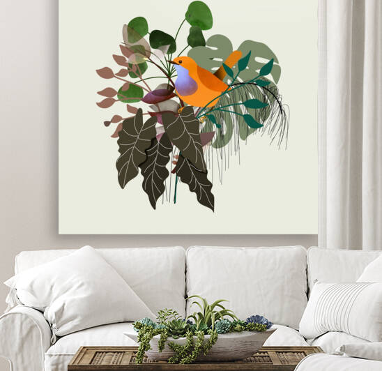 Monstera Bird Plants Reproduction