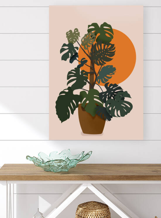 Monstera Plant Circle Reproduction
