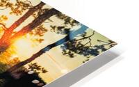 nature landscape 3 HD Metal print