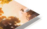 nature landscape 5 HD Metal print