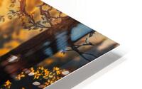 nature forest trees landscape HD Metal print
