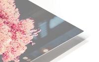 Cherry Tree Nature HD Metal print