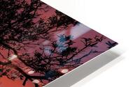Sunset Tree Nature night  HD Metal print