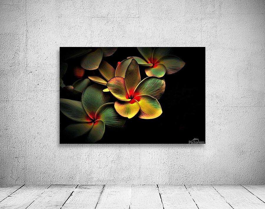 Blossoms Colored Abstract Wall Preview