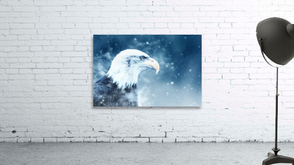 Eagle Bird Snow Wall Preview
