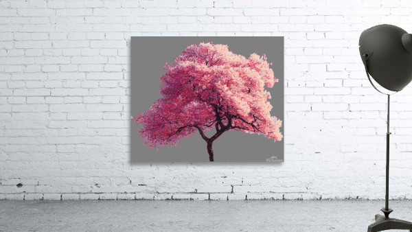 Cherry Tree Nature Wall Preview