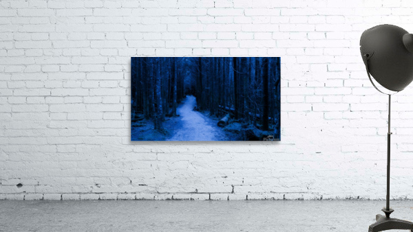 Forest Night Trees Wall Preview