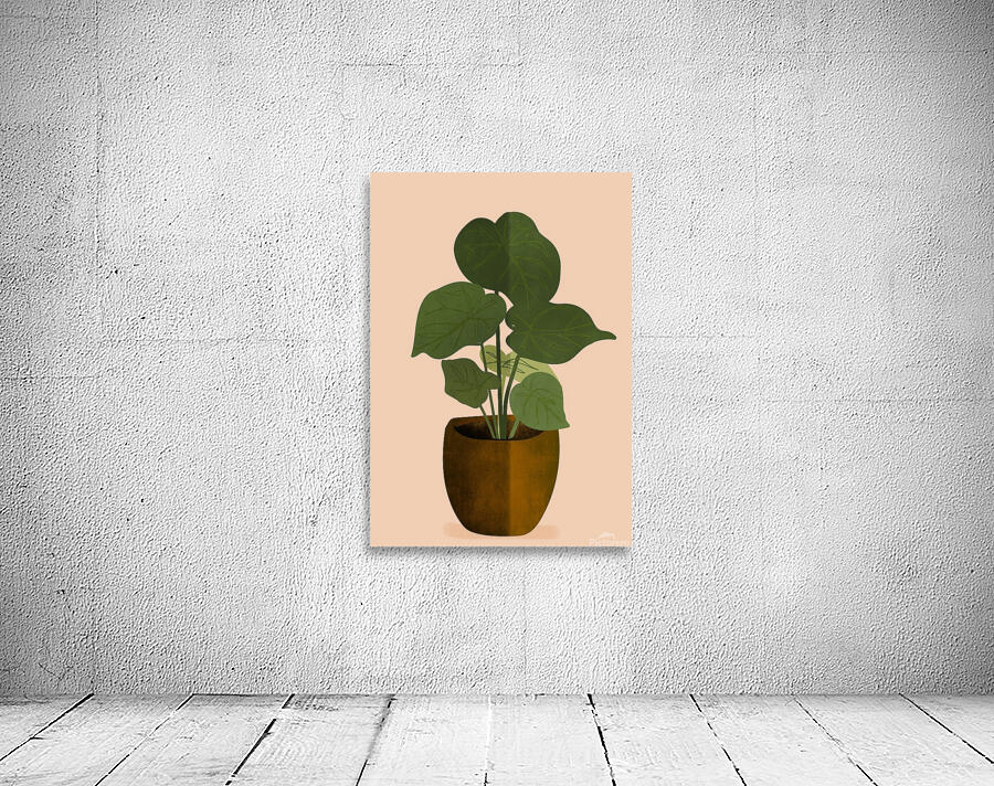 Boho Plant Background Wall Preview