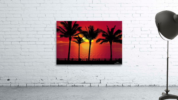 Palm Trees Sunset night Wall Preview