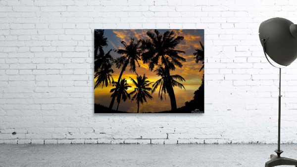 Sunset Palm Trees Tropical Wall Preview