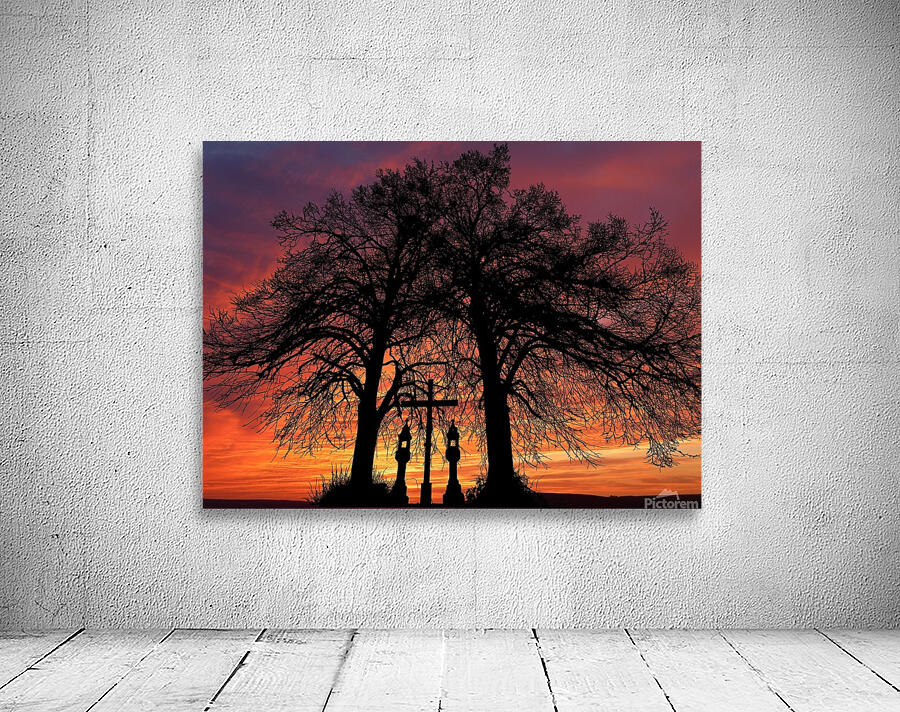Sunset Tree Nature night  Wall Preview