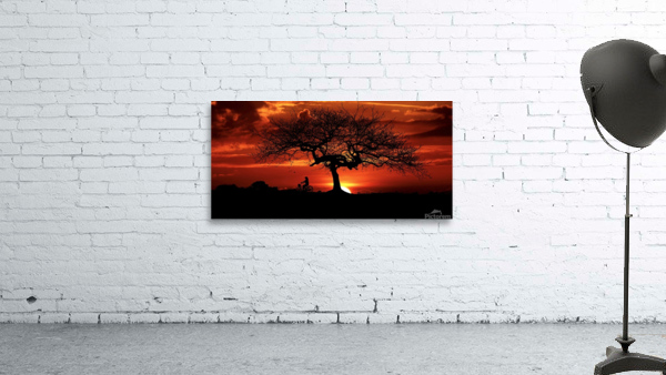 Sunset Tree Landscape night Wall Preview