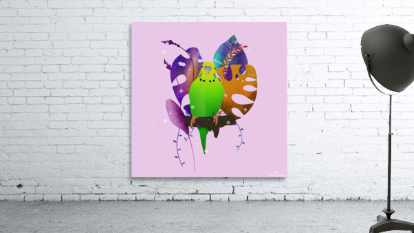 Parakeet Bird Beak Wall Preview