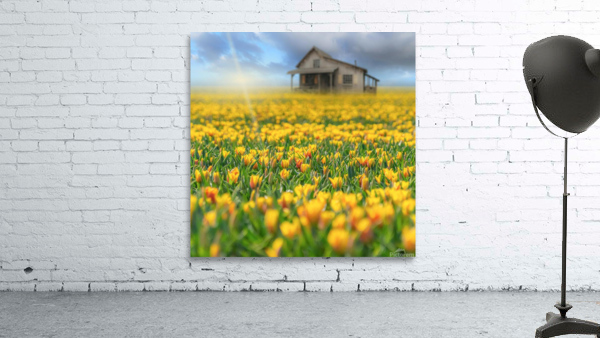 Flowers Flower Wall Preview